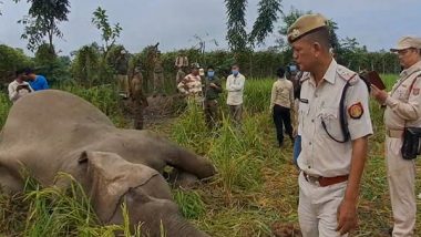 India News | Assam: Wild Elephant Found Dead in Paddy Field