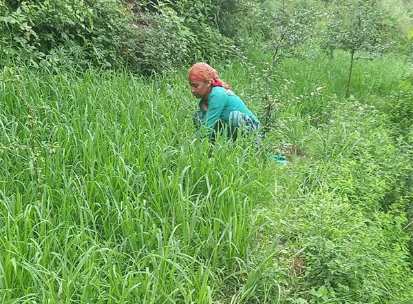 Business News | Ministry of Rural Development Refutes Claims of Dip in Employment Generation Under MGNREGS