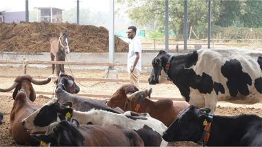 Business News | From Farm to Family - Karna Desai's Vision for a Sustainable Dairy Future