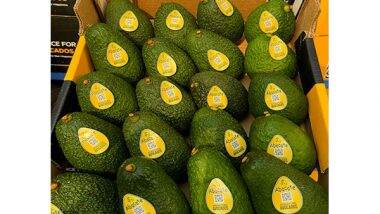 Business News | Abacate International Introduces Signature Avocados to India: Creamier, Tastier, and Superior in Every Way