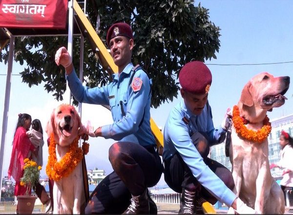 World News | Feast and Treats: Nepal Police Service Dogs Get VIP Treatment on  Kukur Tihar Festival