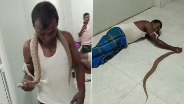 Snake Viral Video From Bihar: Bhagalpur Man Bitten by Russell’s Viper, Catches the Reptile and Takes It to Hospital for Venom-Ous Tour, Stomach-Churning Moment Goes Viral