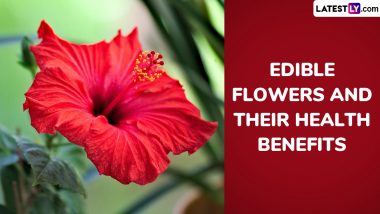 Can You Eat Flowers? Are They Nutritious? From Hibiscus to Chamomile, 5 Edible Flowers and Their Health Benefits