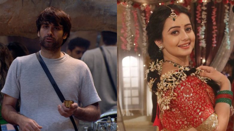 ‘Bigg Boss 18’: Fans Upset With How Vivian Dsena Is Bullying Chahat Pandey on the Show?