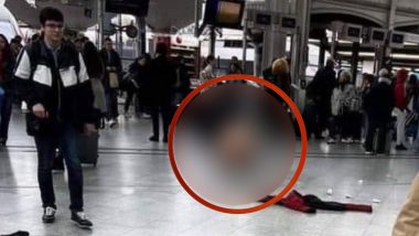 Fully Naked Man Defecates in Public Allegedly at Paris Airport, Viral Photo Claims the Disgusting Behaviour To Be of an Immigrant in France