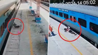 Chennai: Man Sitting on Vaigai Express Footboard Gets Caught Between Train and Platform, Dies; Shocking Video Surfaces