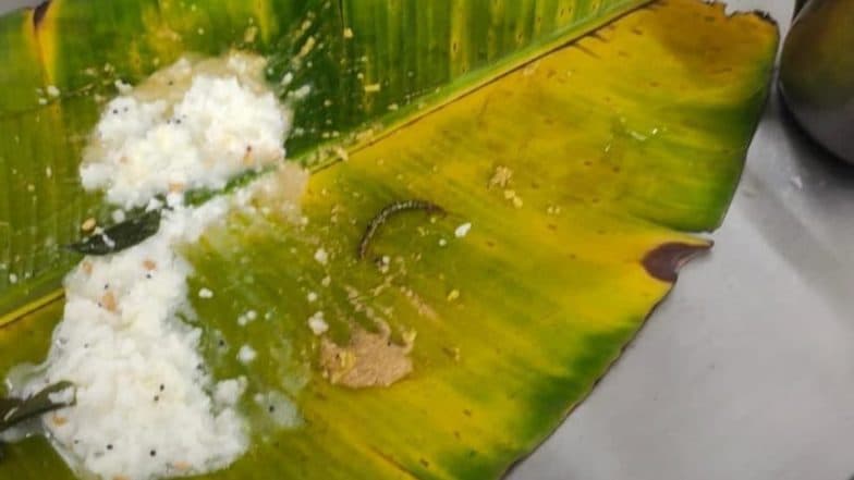 Centipede in Tirupati Prasad: Devotee Claims Insects Found in Anna Prasadam at Tirumala, Temple Authorities Deny Allegation (Watch Video)