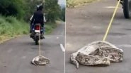 Python Tied to Bike, Dragged Along Road in Rajasthan&rsquo;s Banswara, Police Launch Probe After Disturbing Video Surfaces