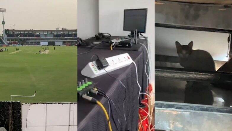 Hilarious! Cat Enters Commentary Box of Rawalpindi Cricket Stadium Ahead of PAK vs ENG 3rd Test 2024 (Watch Video)