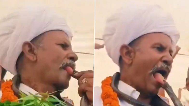 Khatron Ka Khiladi? Elderly Man Performs Dangerous Stunt With Snake, Allegedly Puts His Tongue in Snake’s Mouth; Video Goes Viral