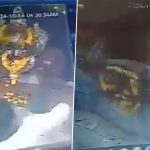 Muthyalamma Temple Vandalised in Hyderabad: Man Allegedly Kicks and Vandalises Muthyalamma Temple Idol in Telangana’s Kurmaguda, Disturbing CCTV Footage of Incident Surfaces