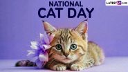 National Cat Day 2024 Date in the United States: Know the Origin, History and Significance of the Day To Raise Public Awareness of Cat Adoption