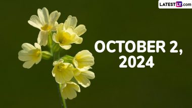 October 2, 2024 Special Days: Which Day Is Today? Know Sunrise, Sunset and Moonrise Time, Holidays, Festivals, Events, Birthdays, Birth and Death Anniversaries Falling on Today’s Calendar Date