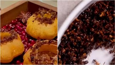 Pani Puri With Ants, Anyone? Viral Recipe Shows Bizarre Combination of Desi Street Food Topped With Creepy Red Ants, Watch Video