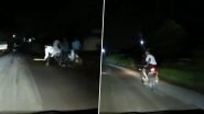 &lsquo;We Were Attacked&rsquo;: IT Engineer From Pune and His Wife Allegedly Attacked by Mob Armed With Sticks and Rods on Lavale-Nande Road, Chased Until Couple Reaches Home; Disturbing Video Surfaces