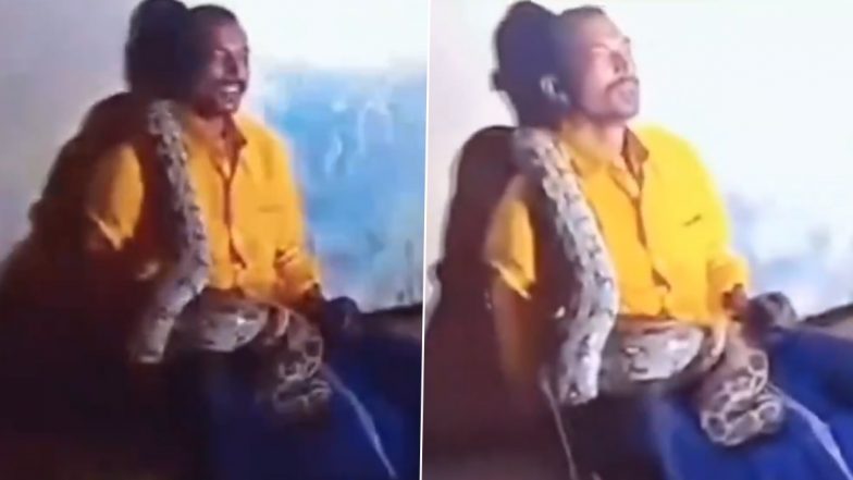 Python Wraps Itself Around Drunk Man in Kurnool, Gets Rescued by Locals As the Snake Eerily Slithers Over Him, Watch Viral Video