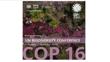 Global Biodiversity Framework 2024: 190 Nations To Gather in Cali From October 21 to November 1 To Advance Climate Targets in UN COP16 (Watch Video)