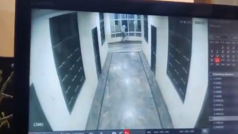 Hyderabad Shocker: Youth Dies After Jumping off 3rd Floor of Hotel To Escape Dog in Ramachandrapuram’s Ashok Nagar, Disturbing Videos Surface