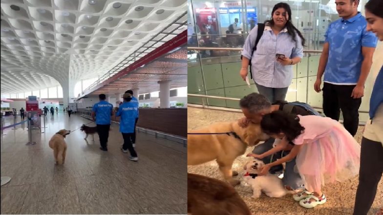 Mumbai Airport Relaunches ‘Pawful’ Initiative, Allows Emotional Support Dogs for Travellers to Pet and Cuddle at Terminal T2; Check Timings and Other Details (Watch Video)