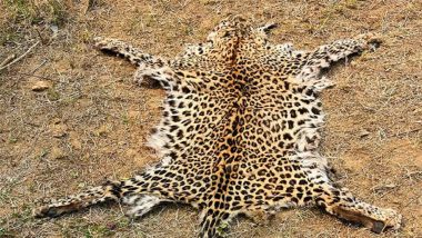 Odisha Police’s Special Task Force Arrest 1 for Illegal Possession, Selling of Leopard Skin in Boudh’s Ranipathar Village