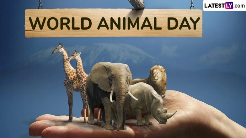 When Is World Animal Day 2024? All You Need To Know About the Day 
