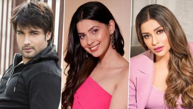 ‘Bigg Boss 18’: Vivian Dsena, Alice Kaushik, Nyrraa Banerjee and Other Stars Enter the House for a New Season