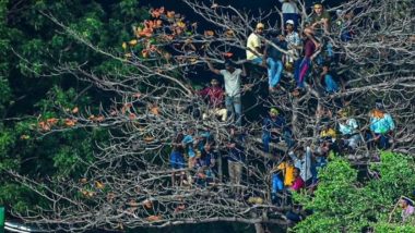 Fans Climb Tree Near Rangiri Dambulla International Stadium to Watch SL vs WI 3rd ODI 2024, Pic Goes Viral