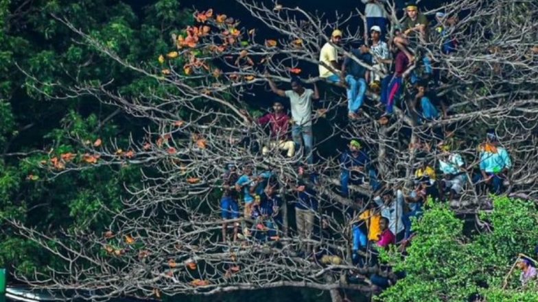 Fans Climb Tree Near Rangiri Dambulla International Stadium to Watch SL vs WI 3rd ODI 2024, Pic Goes Viral