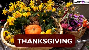 When Is Thanksgiving 2024? Traditions and Rituals You Must Know 