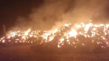 Kaithal Fire: Blaze Erupts in 2 Mounds of Crop Residue in Haryana, Fire Tenders Present at Spot (Watch Video)