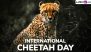 International Cheetah Day 2024 Date: Know History and Significance of the Day That Highlights the Need for Cheetah Conservation