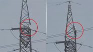 Noida: Man Climbs High-Tension Pole, Escapes Injury After Contact With Live Wires in Sector 113, Video Surfaces