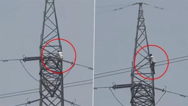 Noida: Man Climbs High-Tension Pole, Escapes Injury After Contact With Live Wires in Sector 113, Video Surfaces