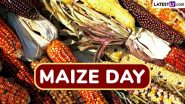 Maize Day 2024 Date and Significance: Here’s What You Should Know About the Day Celebrated After Thanksgiving To Highlight the Benefits of Maize Crop