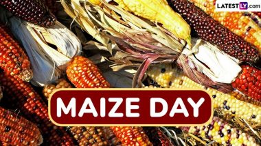 When Is Maize Day 2024? All You Need To Know About the Day