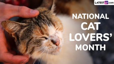 Happy National Cat Lovers’ Month 2024! Fun Quotes, GIFs and Images To Celebrate the Day 