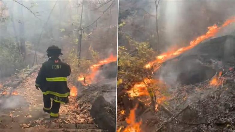 Manhattan Fire: Blaze Erupts at Inwood Hill Park in US, FDNY on Spot (Watch Videos)