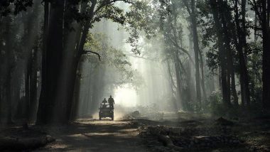 Surveillance Tech at Jim Corbett National Park Being Misused To Intimidate Women, Study Says