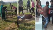 Dalit Man Beaten to Death: Sarpanch and Family Attack Dalit Man for Using Borewell in Shivpuri, Disturbing Video Surfaces