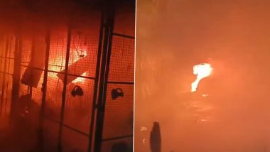 Jamshedpur Fire: Blaze Engulfs Dozen Shops Near Airport, Cause Under Investigation (Watch Video)