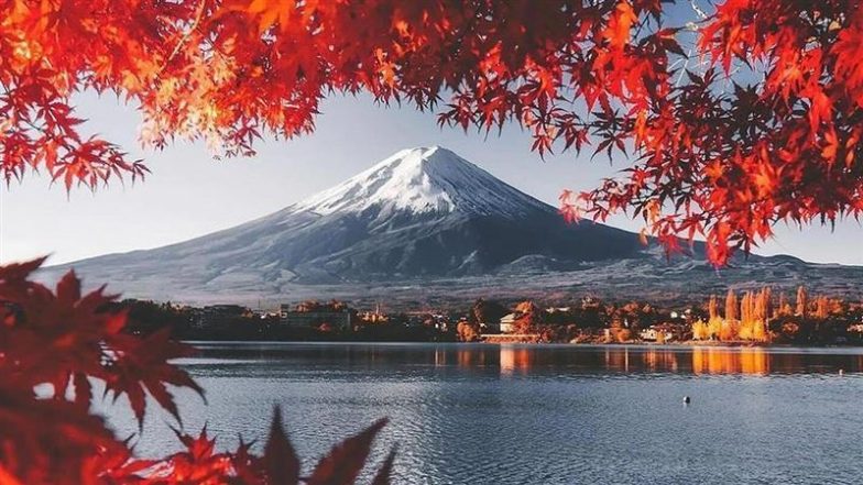 Tokyo Emerges as Hub for 'Sex Tourism' Amid Rising Poverty, Violence and Exploitation of Young Women, Says Report
