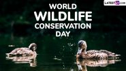 World Wildlife Conservation Day 2024 Date: Know History and Significance of the Day That Highlights the Need To Protect and Conserve Wildlife