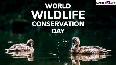 When Is World Wildlife Conservation Day 2024? Date, History and Significance Explained 