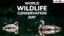 World Wildlife Conservation Day 2024 Date: Know History and Significance of the Day That Highlights the Need To Protect and Conserve Wildlife