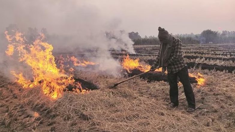 Stubble Burning Fine Increased: Centre Doubles Fines to Combat Pollution, Farmers Burning Stubble to Pay Up to INR 30,000 Penalty