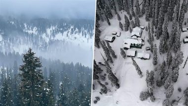 Gulmarg Turns Into Winter Wonderland As It Receives First Snowfall of the Season