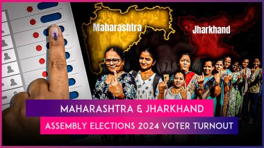 Assembly Elections 2024: Maharashtra Records 58.22% Voter Turnout Till 5 PM, Jharkhand Comparatively Higher at 67.59%