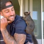 ‘Peanut’ the Squirrel, Who Became Social Media Star, Euthanized After Being Seized From Caretaker Mark Longo’s Home During Raid by New York Authorities