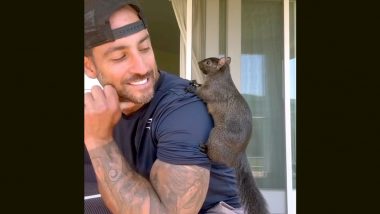 ‘Peanut’ the Squirrel, Who Became Social Media Star, Euthanized After Being Seized From Caretaker Mark Longo’s Home During Raid by New York Authorities