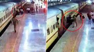 Fatal Accident Averted: Woman Attempts to Jump from Moving Train at Gandhidham Station, Rescued by Constable Vikas Kumar (Watch Video)